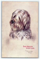 Postcard Old English Sheep Dog c1910 Unposted Antique Oilette Tuck Dogs picture