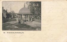 The Old Spring Harrisonburg Virginia VA c1905 Postcard picture