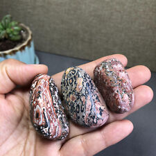 3Pcs Natural Leopard patterned stone gemstone Rough Mineral Specimen 88g A1716 picture