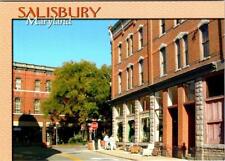 Salisbury MD Maryland DOWNTOWN STREET SCENE Antique~Fun Stuff Store 4X6 Postcard picture