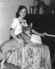 Legendary IDA LUPINO with Pet Dog Photo   (214-O ) picture