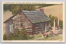 Asheville North Carolina, Pioneer Cabin Mountain Home Smoky Mts Vintage Postcard picture