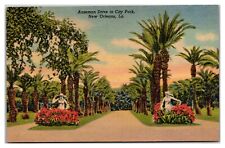 Anseman Drive In City Park, New Orleans, Lousianna Postcard picture