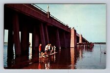 Ocean City MD-Maryland, Boys Fishing Catwalk Highway 50 Bridge, Vintage Postcard picture
