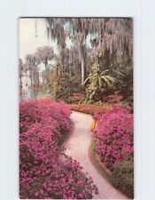 Postcard Azalea Lined Path Cypress Gardens Florida USA picture