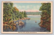 Greetings from Lake Wallenpaupack Pa Linen Postcard No 5197 picture