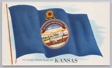 State View~Kansas State Flag~Sun Flower~Vintage Postcard picture