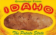 Idaho ID Greetings From Potato State Large Letter C8803 Chrome Postcard picture