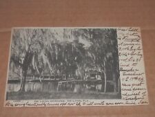 DELAND FLORIDA - 1907 POSTCARD - DE LEON SPRINGS picture