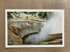 Postcard Wyoming Crater Of Mud Volcano Yellowstone National Park Vintage WY picture