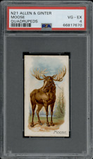 1890 N21 Allen & Ginter Moose 50 Quadrupeds PSA 4 picture