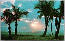 Postcard Vintage Chrome A Florida Sunrise Palm Trees Florida FL picture