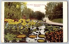 Chicago, Illinois IL - Lily Pond, Washington Park - Vintage Postcard - Unposted picture