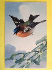 cpa Meissner & book WATERCOLOR DRAWING signed Catharina KLEIN red throat bird picture