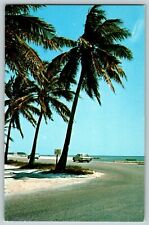 Vtg Chrome  FL 1960's Classic Cars White Sand and Palm Trees  Florida Postcard picture