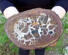 3.84 LB FINE LARGE 7 1/2 INCH SEPTARIAN NODULE WITH ARAGONITE PATTERN - Morocco picture