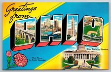Greetings From Ohio The Buckeye State OH Large Letter Postcard M16 picture