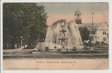 Bloomsburg Pennsylvania Fountain Market Square 1905 J E Roys PA view UN-POSTED picture