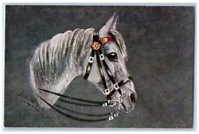 c1910's Horse Head Stallion Oilette Tuck's Posted Antique Postcard picture