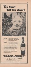 Black and White the Scotch with Character Newsweek 1976 Mag Ad picture