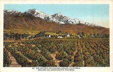 CA, California  MT SAN ANTONIO & ORANGE GROVES  1937 Union Pacific RR Postcard picture