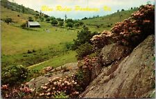 Postcard VA Blue Ridge Parkway Virginia picture