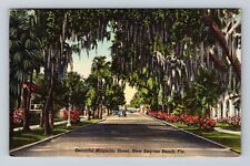 New Smyrna Beach FL-Florida, Beautiful Magnolia Street, Antique Vintage Postcard picture