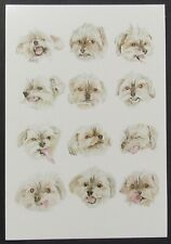 Dogs Titled Charlie by Wallace May Poster Art Postcard Unused Unposted picture