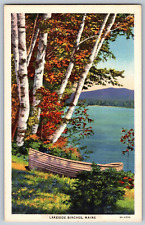 Maine ME - Lakeside Birches - Canoeing on Lake - Vintage Postcard - Unposted picture