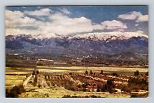 CA-California, Mount San Gergonio, Antique, Vintage Postcard picture