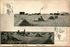 Vtg Postcard - Olds Alberta Canada Lewis Rice Photo Threshing Farm Steam Tractor picture