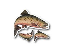 Cutthroat Trout Fish Fly Fishing Sticker Decal Bumper - 3 PACK 015 picture