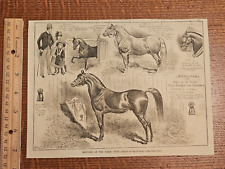 Harper's Weekly 1884 Sketch Print Sketches At The Horse Show picture