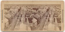MASSACHUSETTS SV - Nantucket - Panorama South - Freeman 1870s picture