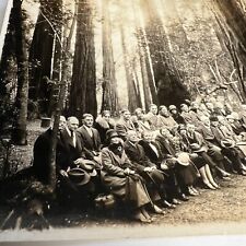 Vintage 1927 Photo, Group Picture, Muir Woods National Monument, California picture