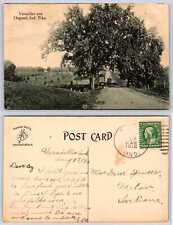 Osgood Indiana PUMPKIN FIELD Postcard k399 picture