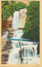 Asheville NC Postcard Connestee Falls 1940s Linen Vintage Travel Unposted picture