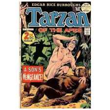 Tarzan (1972 series) #208 in Very Fine condition. DC comics [b; picture