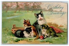 1911 Birthday Greetings Cat Kittens Embossed Eldara Illinois IL Antique Postcard picture