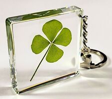 48mm Real Four Leaf Clover Shamrock in Keychain Lucky Leaf Inside Clear Lucite picture