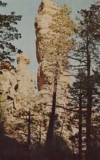 Chiricahua National Monument Willcox Arizona Vintage Chrome Post Card picture