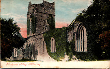 Vintage C. 1905 Muckross Abbey Killarney National Park Kerry Ireland Postcard picture