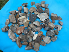 Lot Texas Native American Indian Artifacts Preform Flakes Arrowhead Pieces picture