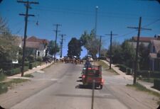 1948 Cattle Walking Thru Neighborhood Grass Valley CA Vtg 35mm Red Border Slide picture