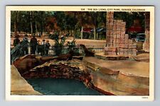 Denver CO-Colorado, The Sea Lions, City Park, Antique, Vintage Souvenir Postcard picture