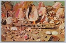Beautiful Collection Of Shells Coral & Treasures Of Sea~Tidal Coastline~Vtg PC picture