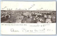 c1905's Birds Eye View Buildings Lester Prairie Minnesota MN Antique Postcard picture
