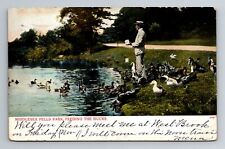 Middlesex, MA-Massachusetts, Feeding Ducks Fells Park c1907, Vintage Postcard picture