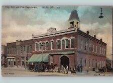 c1920 Fire Department Webb City Missouri MO Albertype Hand Colored Postcard picture