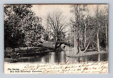 Columbus OH-Ohio, The Spring, Ohio State University, Antique, Vintage Postcard picture
